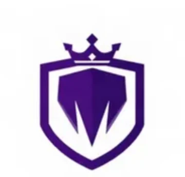 Team logo option 1